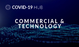 Commercial and Technology