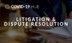 Litigation and dispute resolution