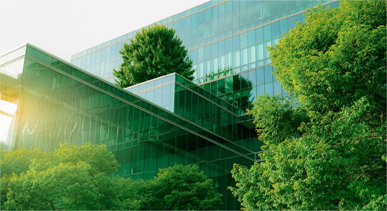 Prudential transition plans under the Capital Requirements Directive