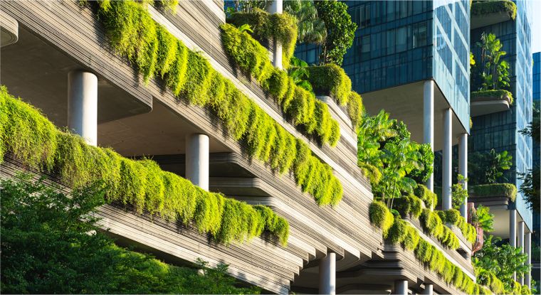 Sustainability Reporting and Due Diligence updates – June 2024