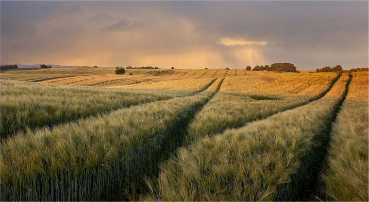 Capital Grants Scheme Eligibility 