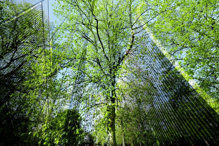 Sustainability reporting and due diligence update – November 2025