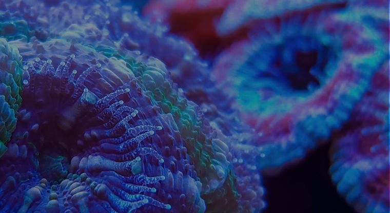 Public consultation on National Life Sciences Strategy launched 