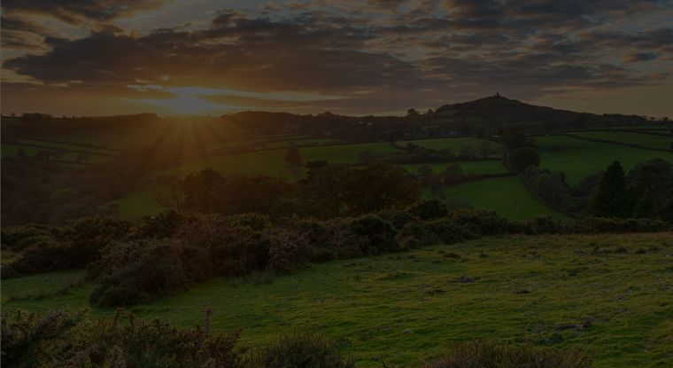 Energy policy and regulatory round up | May - September 2024
