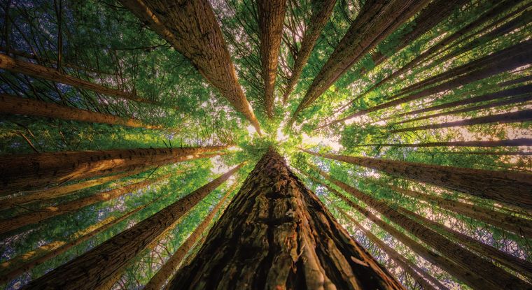 Proposed changes to EPA licensing regimes 